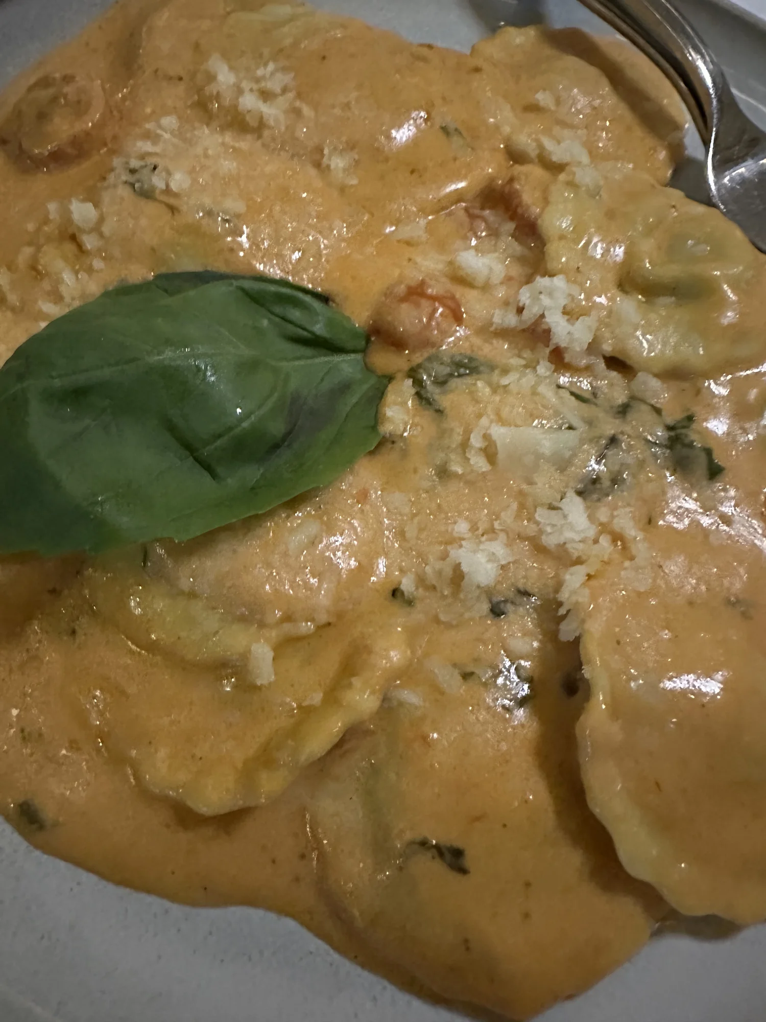 Rigatoni Rosa Bolognese